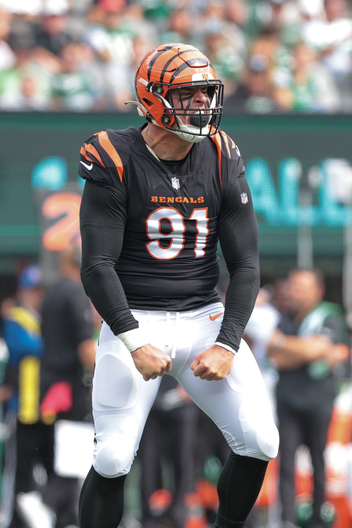 6 Best Bets for the Bengals in 2024-25