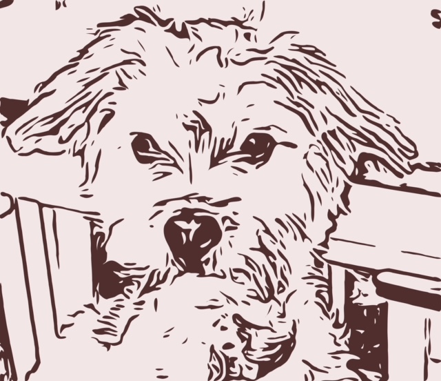 Why I Am Starting a Podcast (Probably)